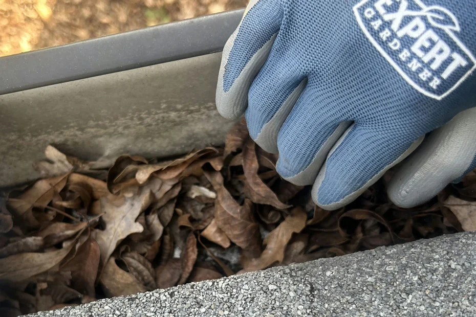 Gutter Cleaning Sulphur